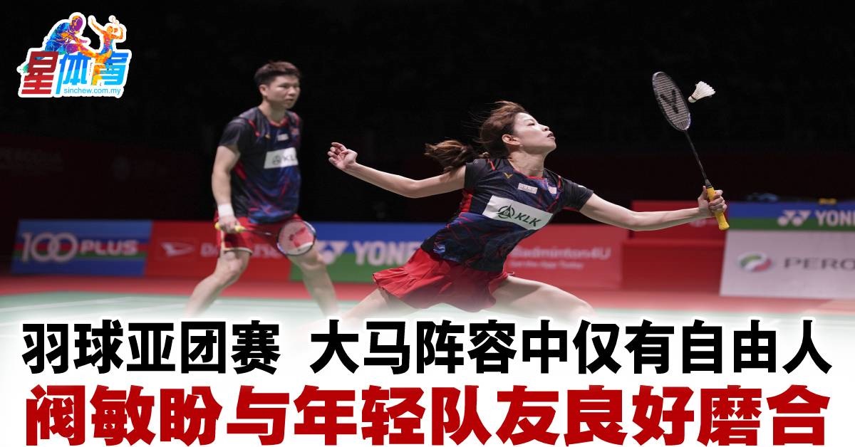 展现出极佳